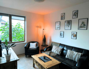 Pine`s Lodge , private Wi-FI Bansko